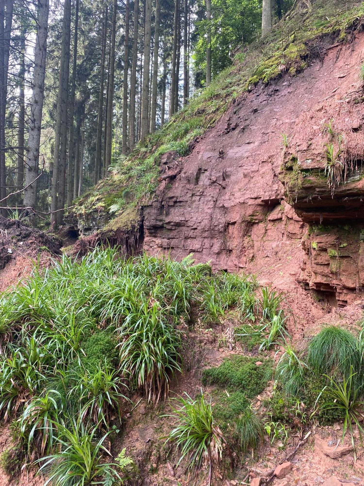 Ferienhaus Vulkaneifel Abtei Himmerod Großlittgen Esterno foto