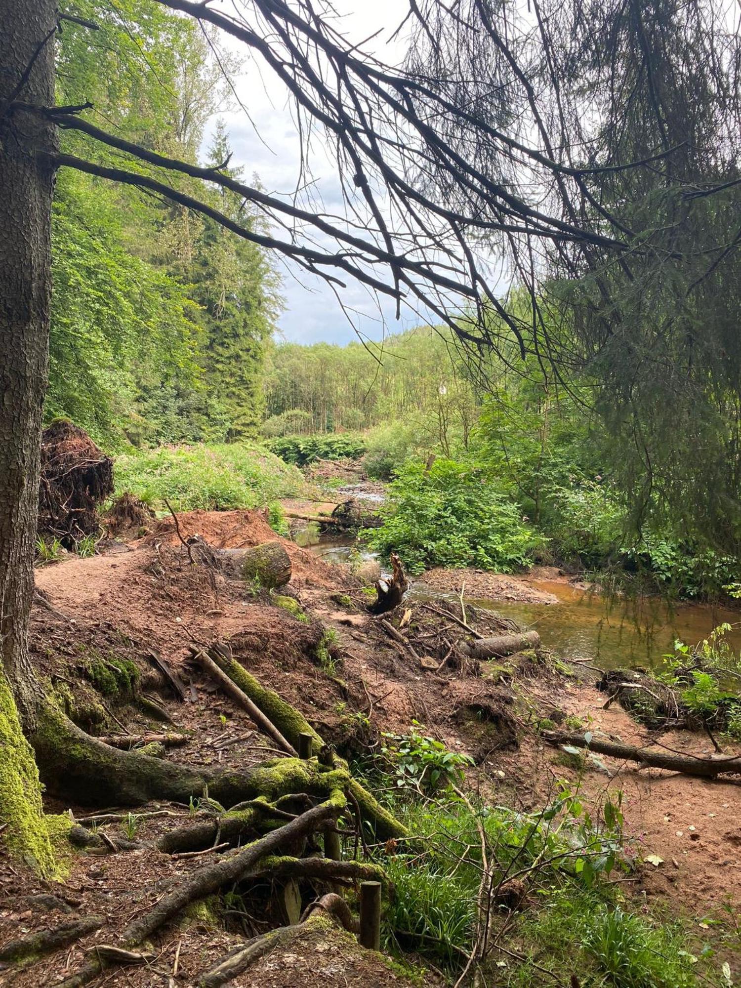 Ferienhaus Vulkaneifel Abtei Himmerod Großlittgen Esterno foto
