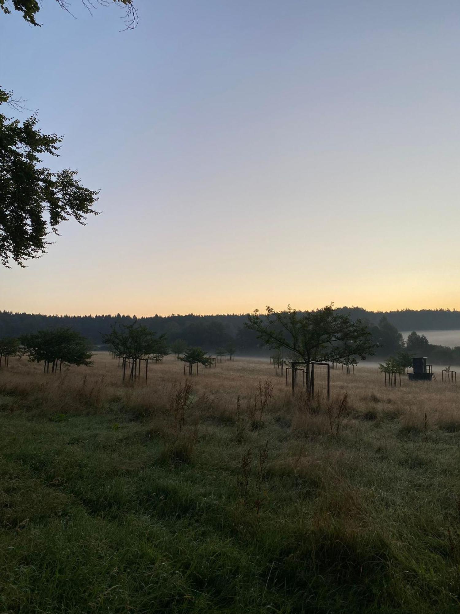 Ferienhaus Vulkaneifel Abtei Himmerod Großlittgen Esterno foto