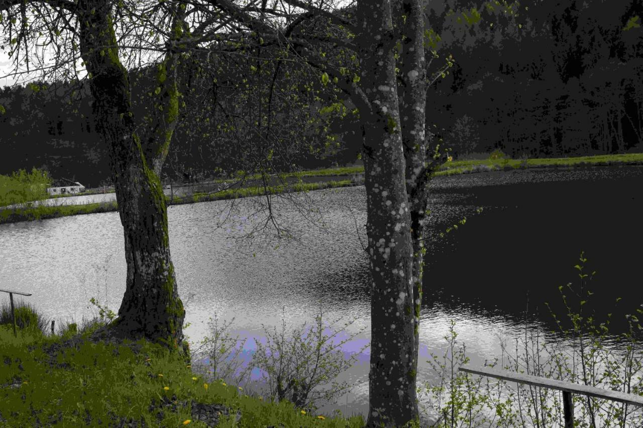 Ferienhaus Vulkaneifel Abtei Himmerod Großlittgen Esterno foto