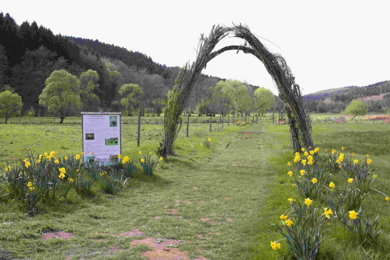 Ferienhaus Vulkaneifel Abtei Himmerod Großlittgen Esterno foto